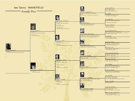 5 Generations Landscape